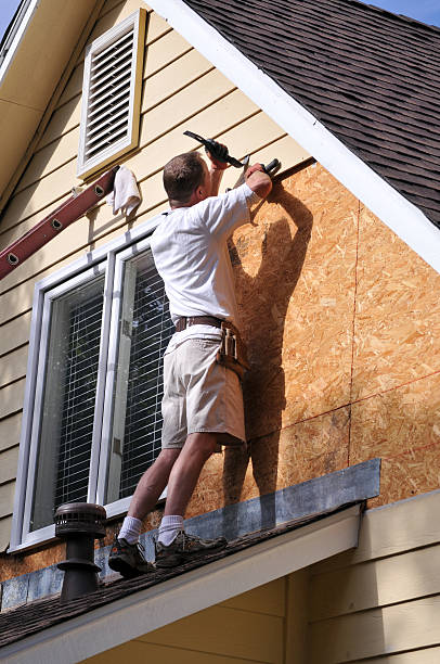 Best Brick Veneer Siding  in Ferriday, LA